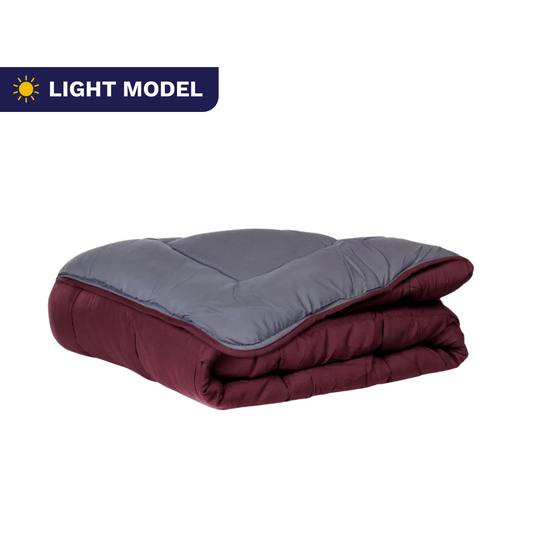 Zelesta Easybed Light - Purple & Anthracite