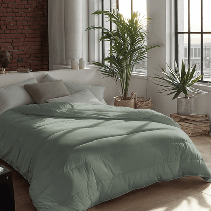 Zelesta Royalbed Light - Pastel Green