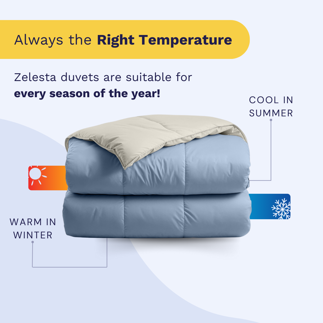 Zelesta Premiumbed Cotton - Dream Blue & Cream