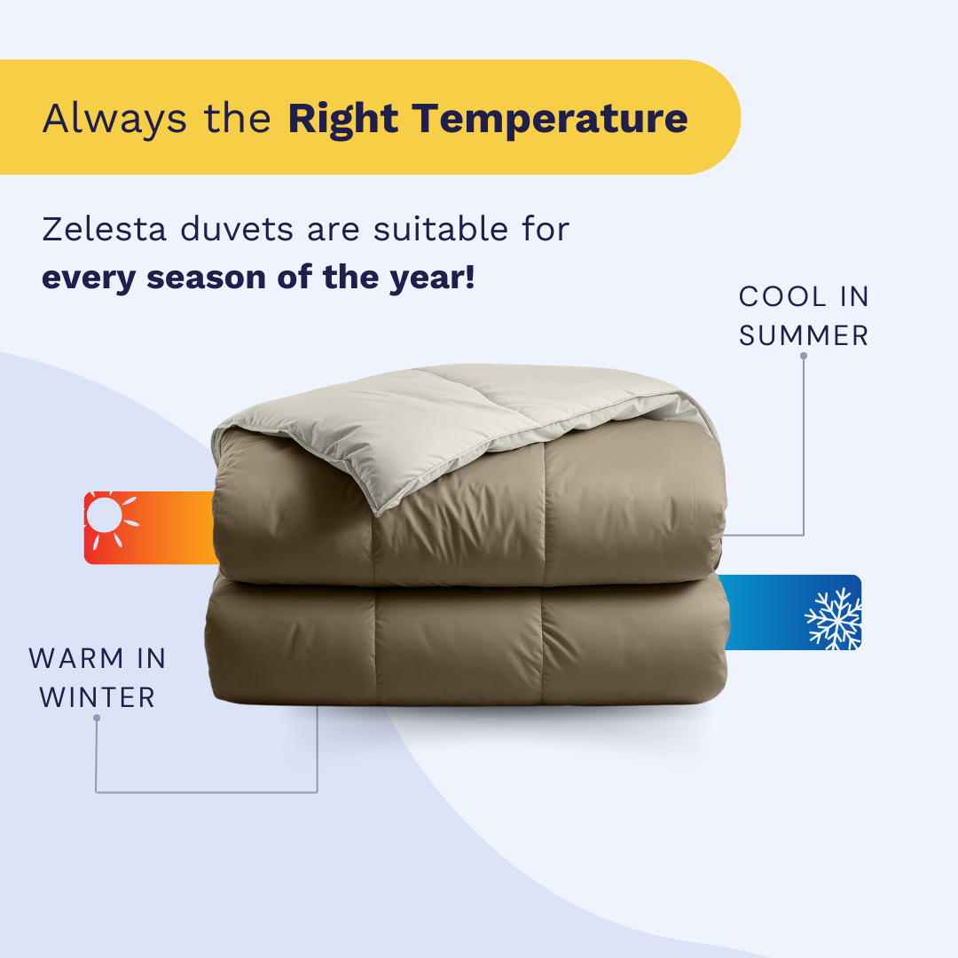 Zelesta Premiumbed Cotton - Taupe & Cream