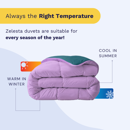 Zelesta Royalbed - Petrol & Purple