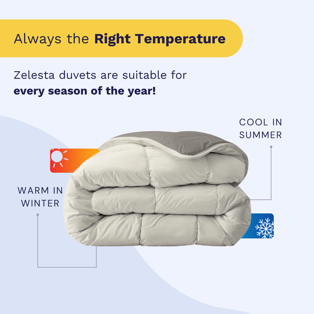 Zelesta Royalbed - Tender Grey & Cream