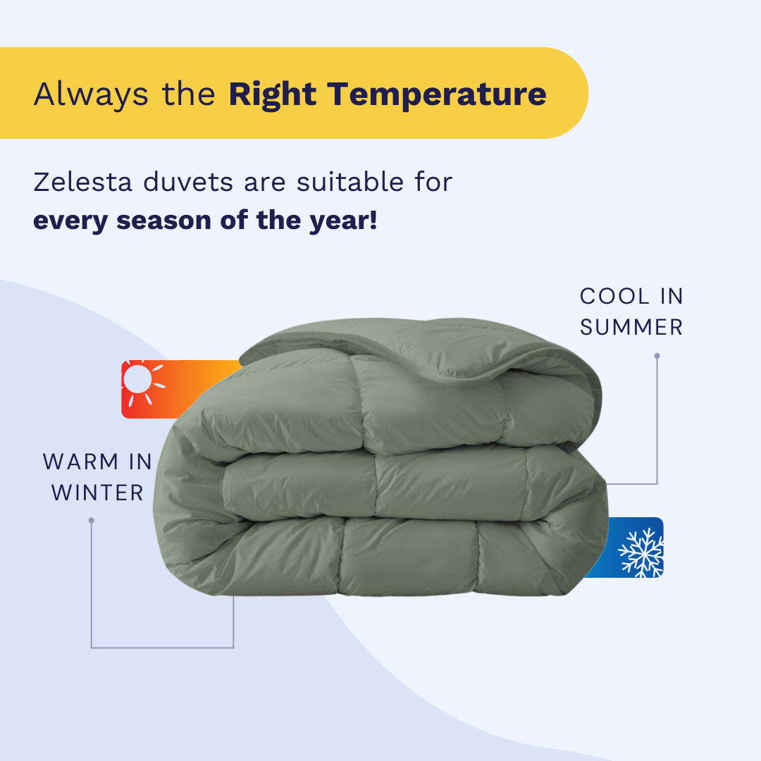 Zelesta Royalbed - Pastel Green