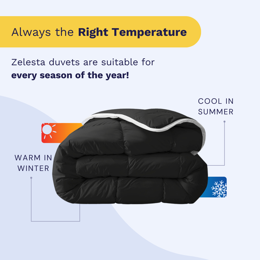 Zelesta Royalbed - Black