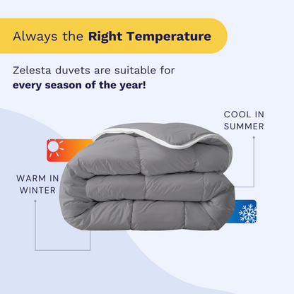Zelesta Royalbed - Anthracite
