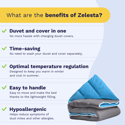 Zelesta Royalbed - Blue & Anthracite