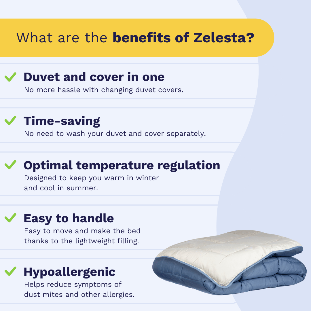 Zelesta Easybed - Blue & Mastic