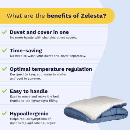 Zelesta Easybed - Blue & Mastic