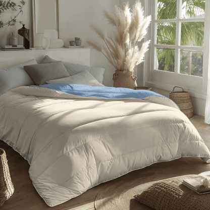 Zelesta Royalbed Light - Bluefog & Sand Beach