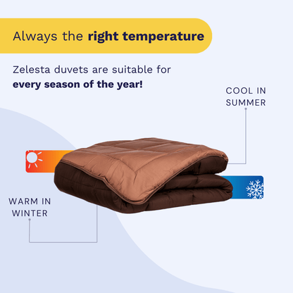 Zelesta Easybed - Chocolate & Mocha