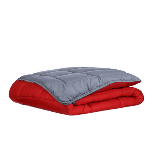 Zelesta Easybed Light - Anthracite & Red