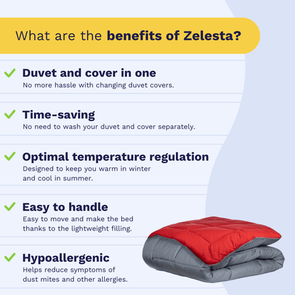 Zelesta Easybed - Anthracite & Red