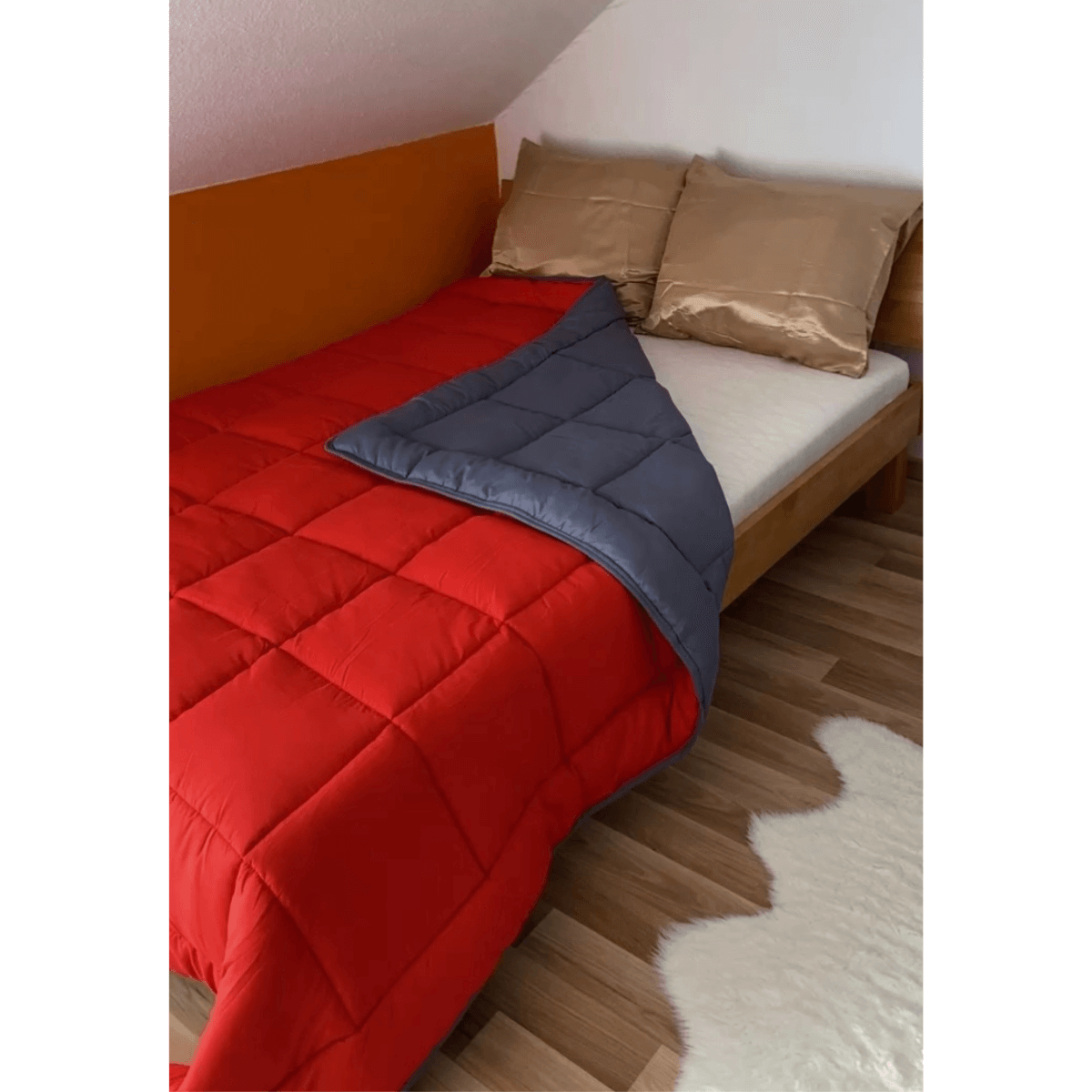 Zelesta Easybed Light - Anthracite & Red