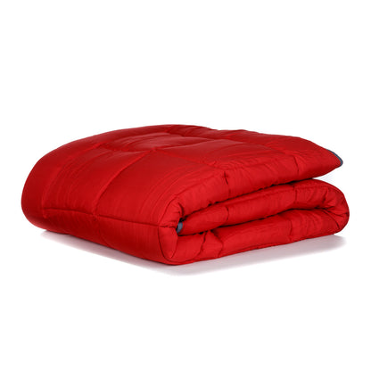 Zelesta Easybed - Anthracite & Red