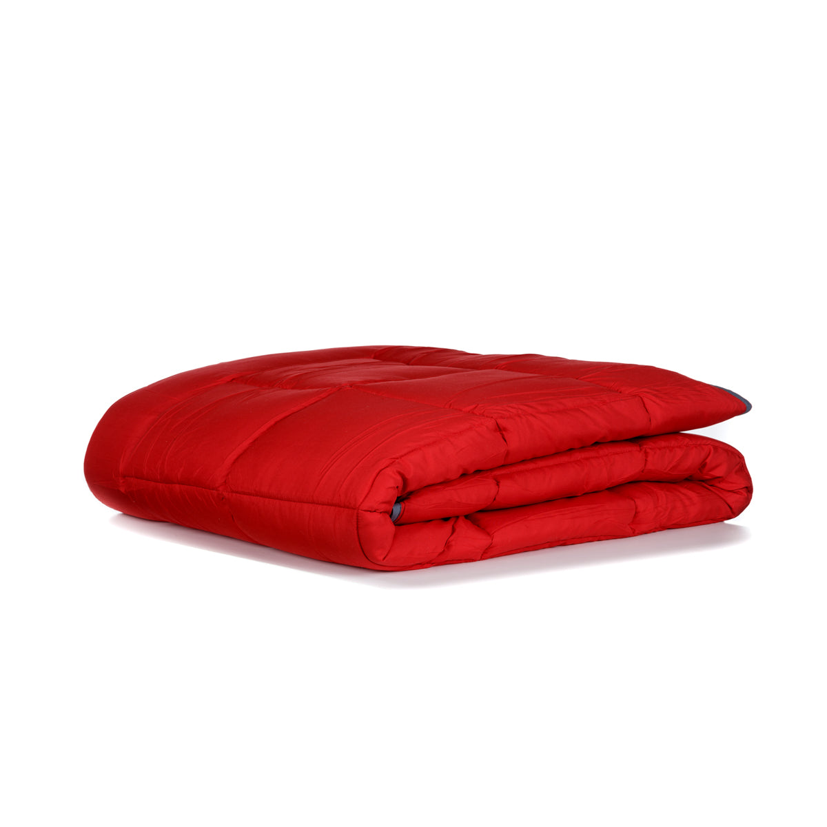 Zelesta Easybed Light - Anthracite & Red