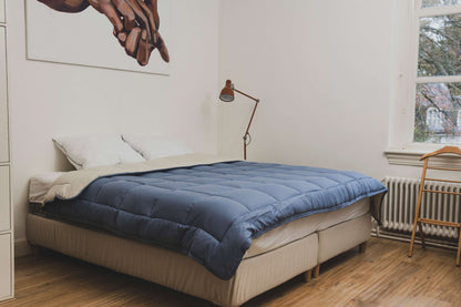 Zelesta Easybed - Blue & Mastic